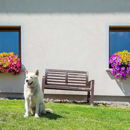 Ubytování v soukromí 